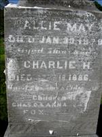 Fox, Allie May and Charlie H. (2nd Pic.)